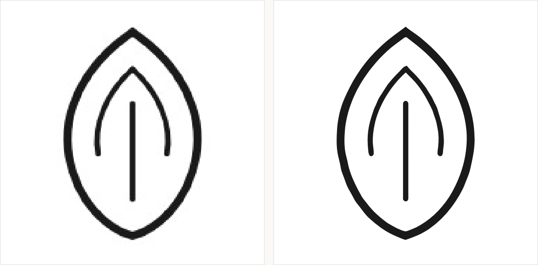 A leaf-like outline drawing: on the left grey uneven strokes from a photograph; on the right even black line work.